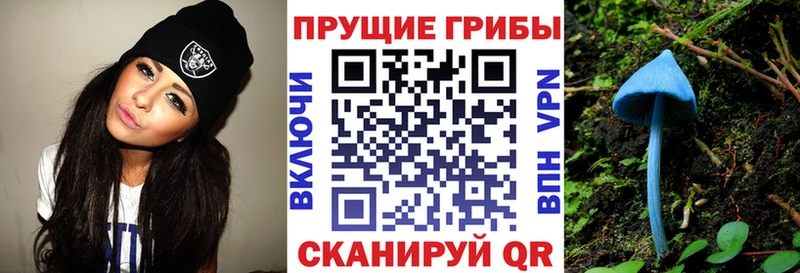 Галлюциногенные грибы Psilocybe  Балахна 